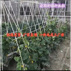 비닐하우스 농사 폴대 유리섬유 강선 발색 유리 거치대 아치 길이 흰색 텃밭 직경 온실, 화이트블랙 기본발송메모란에 기입해 주십시오, 화이트12mmX2m10수, 1개