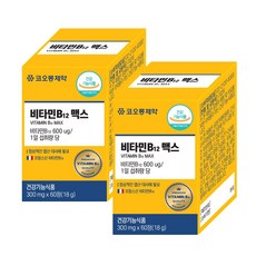 코오롱제약 비타민 B12 맥스 프랑스산 원료 정상적 엽산대사에 필요 단일성분, 2개, 60정
