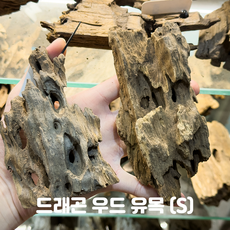 드래곤 우드 유목 S 사이즈, 1개