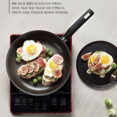 풍년 IH 뉴 포터블 인덕션 PPNKA-2000, 자가설치