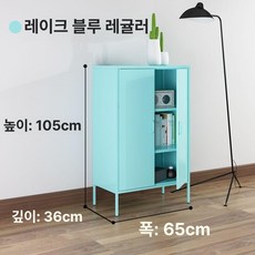 파스텔 철제 캐비닛 감성, 2개 문, 조립 완료, 레이크블루 스탠다드