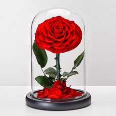 永生花玻璃罩 玫瑰香皂花禮物 不凋花盅 擺件, 小王子紅色, 小王子紅色