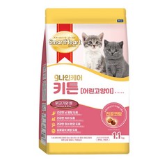 나인케어 캣 키튼 1.1kg 1개