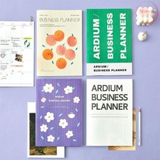 랄라온 비즈니스 플래너 수능스터디플래너, 그린