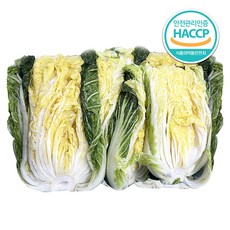 괴산 절임배추 김장 고랭지 절임배추 HACCP, 10kg, 1개, 6월 12일 출고