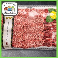 [염서방식육점] 20년경력 1등급 국내산 한우 선물세트 명절 추석 설 꽃등심 갈비 살치, 900g