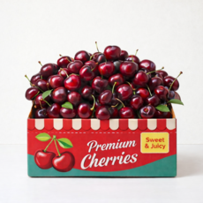 [타임특가] 당도1등 칠레 체리 cherry, 1개, 300g