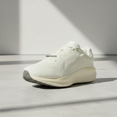 나이키 윈플로 11 FJ9510-113 여성 러닝화 운동화