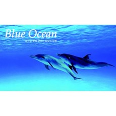 [CD] Blue Ocean : 음악과 함께 떠나는 바닷속 여행