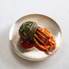 신선계절가 국내산 전라도식 파김치 쪽파김치, 1개, 1kg