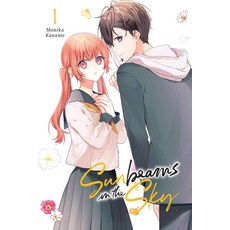 (영문도서) Sunbeams in the Sky Vol. 1 Paperback, Yen Press, English, 9781975352318