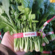 국내산 남해 보물초 해풍 시금치 500g, 1개