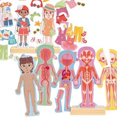 어린이 인체공부 옷입히기 자석 인형세트 공부퍼즐 IQ 어린이집