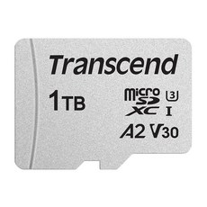 Transcend 4GB microSDHC 마이크로 SD 카드 C10 닌텐도 스위치/GoPro/Insta360/감시 홈 보안 카메라/대시 캠/Wyze 캠/자동차 캠/태블릿/드, 어댑터 포함, 1TB
