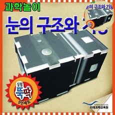 과학놀이 눈의구조와기능 5인용, 1