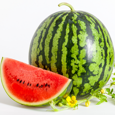 [오늘특가] 고당도 하우스 꿀 수박, 1개, [품절임박] 3~4kg