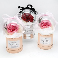 FlowerSP 花漾愛情玫瑰永生花報報桶，情人節花禮/七夕情人節/永生花/生日禮物，台灣現貨快速出貨, 紅色,永生花建議使用宅配配送