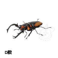 BANDAI 轉蛋 扭蛋 生物大圖鑑 鍬形蟲篇08 鍬形蟲 昆蟲 圖鑑 模型 全5款, 1個, D款/長頸鹿鋸鍬形蟲1J080