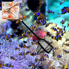 GOS 사각 어항뜰채 소형 치어뜰채, 1