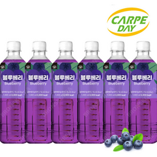 액상 과일음료 원액/ 까르페 블루베리 차, 1L, 1개