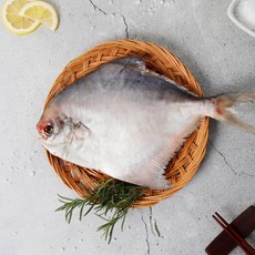 생물병어 중 (26cm 내외) 국내산 목포 손질 세꼬시 병어회 횟감선도 위판, 1개