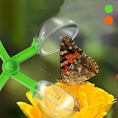 벌레 곤충 채집 가위 집게 사냥 통 집 관찰 포획 도구 byd+67483oa