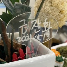 식집사 투명 아크릴 식물이름표 원형 화분팻말 수목명찰 식물표찰 화분이름표, 없음