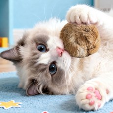 크레용펫 고양이 캣닢 공 볼 토끼털 장난감, 1개, 토끼털 캣닢 볼-애쉬그레이