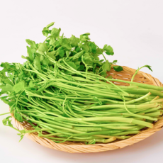 당일수확 특품 청도 세척 미나리, 1개, 200g