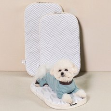 개과천선 듀라론 코일 강아지 쿠션 강아지 방석 애견 침대 유모차 내부쿠션 쿨 방석 쿨 매트, 아이스 화이트, 1개