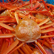 [진무수산] 산지직송 당일발송 박달홍게 프리미엄 품질보증 자숙 홍게 고급형 홍게3kg 10미 내외, 1개, 정품 (7-12미) 3k