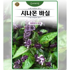 바질 시나몬 (멕시칸바질) 100립 식용허브 샐러드용 다년생 일년생 향기좋은허브