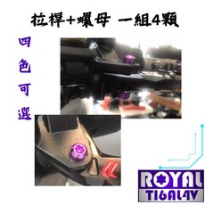 【瘋螺絲】DRG 二代 專區 原廠拉桿螺絲組 64鈦/鈦合金螺絲 出貨附發票 四色可選, 1個, 皇家紫