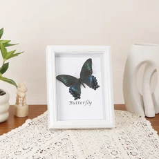 유럽풍 레트로 3D 사진 액자 나비 곤충 DIY 표본 테이블 사각형 (홈데코용), 03 4-inch square, 01 white