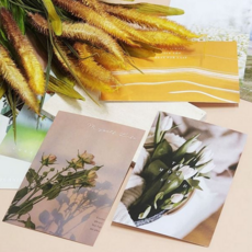 감성 엽서 인테리어 레트로 포토 엽서 자연 모음 선물
