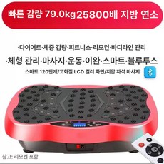 진동 운동기구 복부 덜덜이 전동 운동 흔들이운동기구, 25800배 블루투스 180단계 레드, 기본 모델명/품번