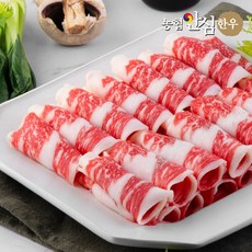 [농협안심한우] 1등급 한우 차돌박이 구이용 300g, 1개