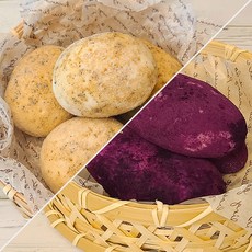 [델리]리얼 감자빵 + 리얼 고구마빵 구황작물빵 쫀득빵 총 1.2kg, 10개, 120g
