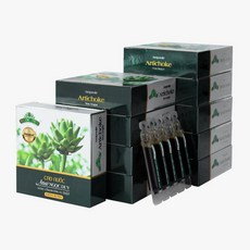 엔곡듀이 베트남 무설탕 아티초크 추출물 앰플 10p, 100ml, 10개 100ml, 10개