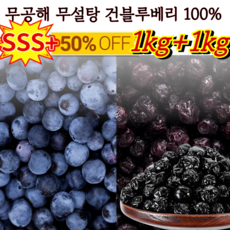 1+1 무설탕 블루베리 건과일 100% 무공해 무설탕 건블루베리 100% 대형 킹사이즈 블루베리 고품질/건강인증, (칠레 SSS+)100g*1