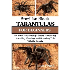 (영문도서)Brazilian Black Tarantulas: A Calm Giant Among Spiders - Housing Handling Feed... Paperback, Independently Published, English, 9798299156546