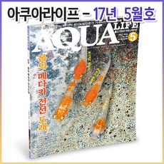 아쿠아라이프 2017년 05월호