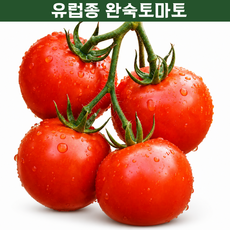 [7차완판특가] 과즙폭발 완숙 토마토 국내산 농장 직송, 1박스, 5kg
