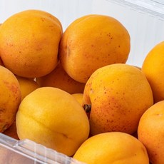 살구 1kg 상, 1박스
