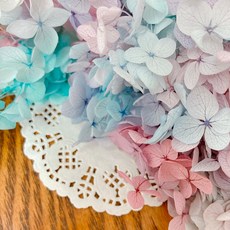 VITO zakka 木繡球永生花DIY乾燥花植物浮游花材花藝材料包拍攝道具DIY創作花材20g, 泡泡棉花糖(彩色漸變)(現貨)