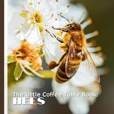 (영문도서)The Little Coffee Table Book: Bees: 75 fascinating facts this beautifully desig... Paperback, Independently Published, English, 9798296306425