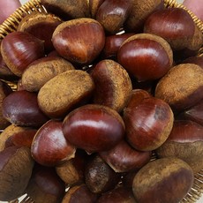 {정품} 산지직송 청담농수산 국내산 밤, 2kg, 1개