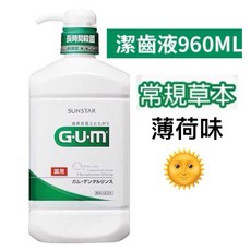 SUNSTAR GUM 牙周護理潔齒液 夜間口腔護理漱口水 900ml/960ml, 1個, 潔齒液960ml(薄荷味)