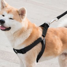 필굿스토어 대형견하네스리드줄 강아지리드줄