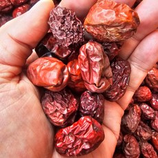 국산 건대추 대추열과, 1개, 500g